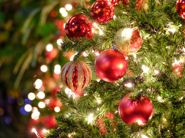 USJ スタジオ・パス付 関西フリープランイメージ